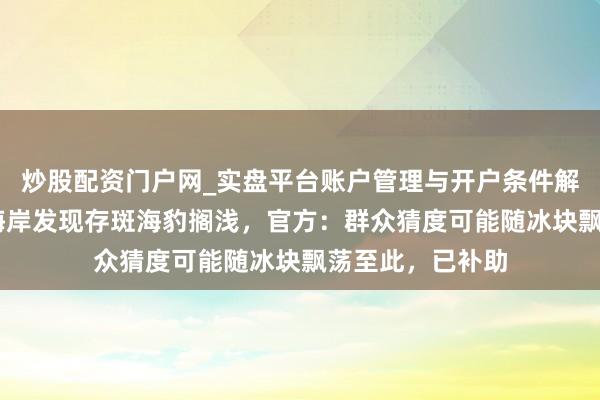炒股配资门户网_实盘平台账户管理与开户条件解析 辽宁丹东一海岸发现存斑海豹搁浅，官方：群众猜度可能随冰块飘荡至此，已补助